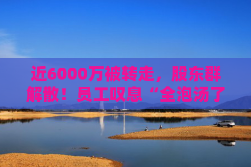 近6000万被转走，股东群解散！员工叹息“全泡汤了”！榴莲大王爆雷，高管被控制