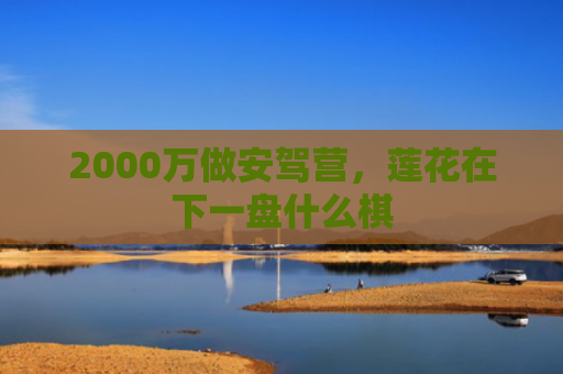 2000万做安驾营，莲花在下一盘什么棋