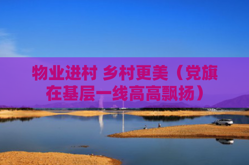 物业进村 乡村更美（党旗在基层一线高高飘扬）