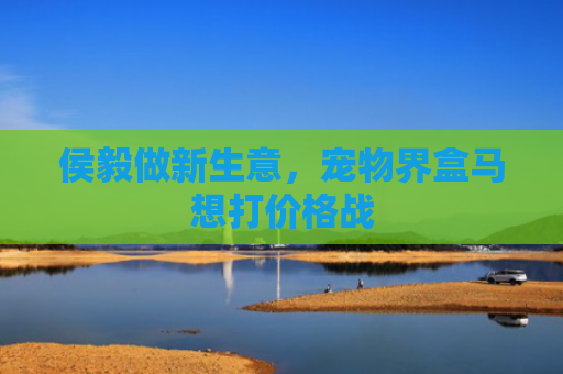 侯毅做新生意，宠物界盒马想打价格战