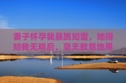 妻子怀孕我暴跳如雷，她得知我无精后，毫无歉意地甩出离婚协议