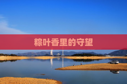 粽叶香里的守望