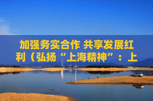 加强务实合作 共享发展红利（弘扬“上海精神”：上合组织在行动）