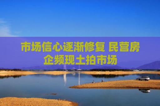 市场信心逐渐修复 民营房企频现土拍市场