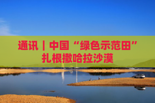 通讯｜中国“绿色示范田”扎根撒哈拉沙漠