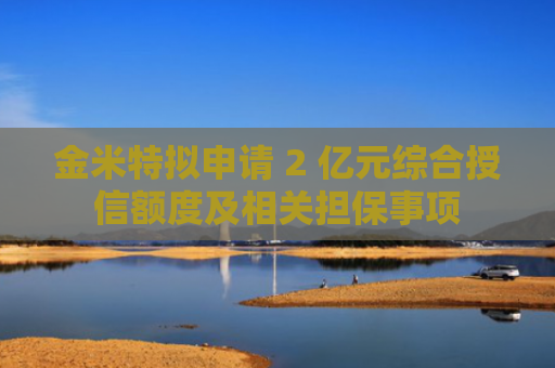 金米特拟申请 2 亿元综合授信额度及相关担保事项