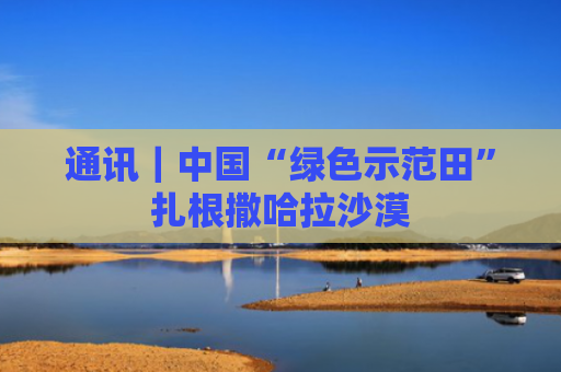 通讯｜中国“绿色示范田”扎根撒哈拉沙漠