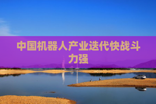 中国机器人产业迭代快战斗力强