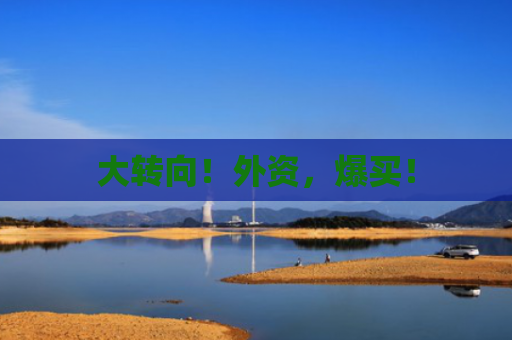 大转向！外资，爆买！