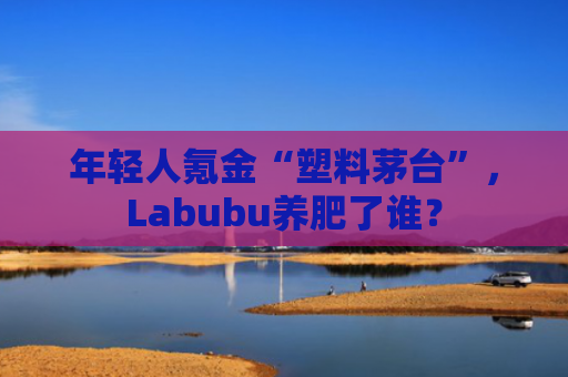 年轻人氪金“塑料茅台”，Labubu养肥了谁？