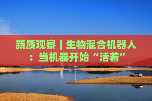 新质观察｜生物混合机器人：当机器开始“活着”
