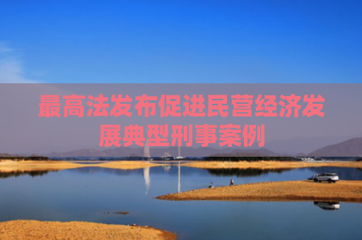 最高法发布促进民营经济发展典型刑事案例