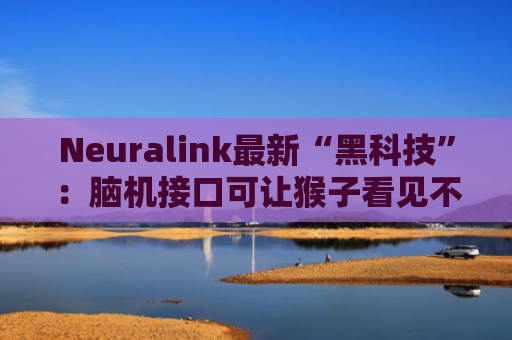 Neuralink最新“黑科技”：脑机接口可让猴子看见不存在的物体