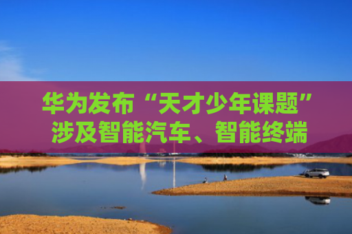 华为发布“天才少年课题” 涉及智能汽车、智能终端等