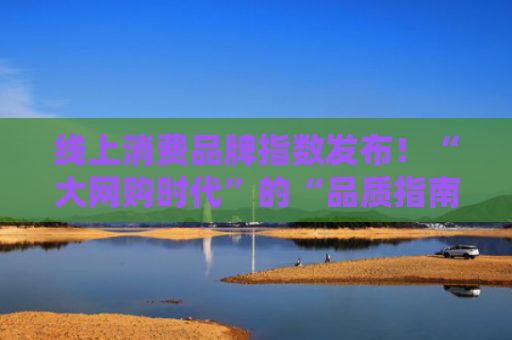 线上消费品牌指数发布！“大网购时代”的“品质指南针”？