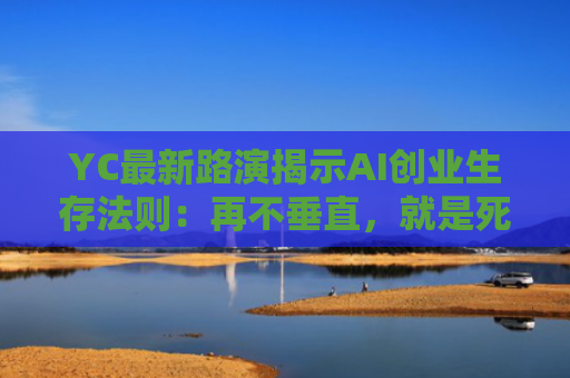 YC最新路演揭示AI创业生存法则：再不垂直，就是死