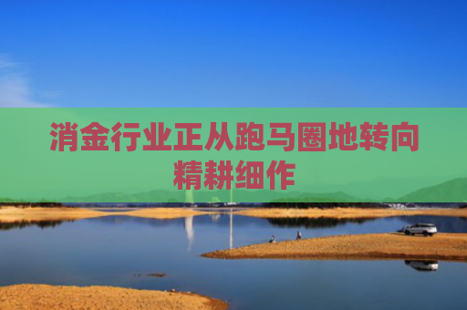 消金行业正从跑马圈地转向精耕细作