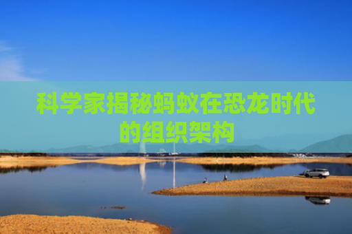 科学家揭秘蚂蚁在恐龙时代的组织架构