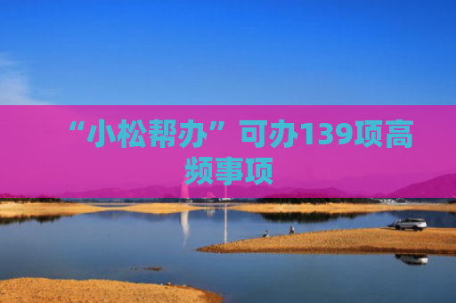 “小松帮办”可办139项高频事项