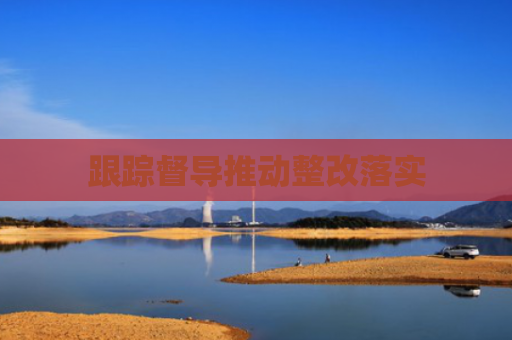 跟踪督导推动整改落实