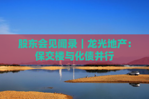 股东会见闻录｜龙光地产：保交楼与化债并行