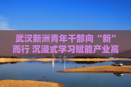 武汉新洲青年干部向“新”而行 沉浸式学习赋能产业高质量发展