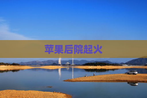苹果后院起火