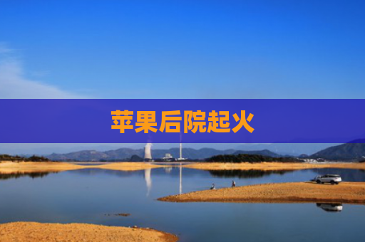 苹果后院起火