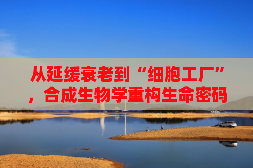 从延缓衰老到“细胞工厂”，合成生物学重构生命密码