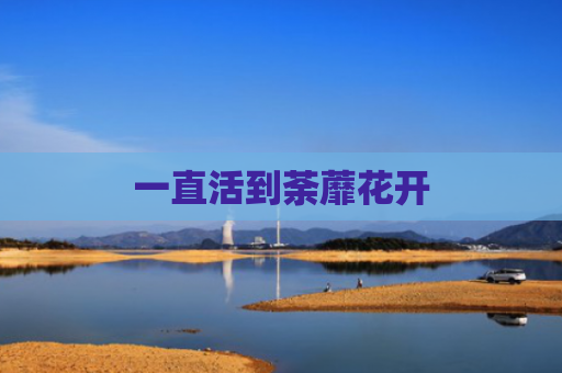 一直活到荼蘼花开
