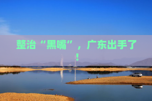 整治“黑嘴”，广东出手了！