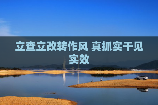 立查立改转作风 真抓实干见实效