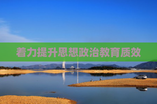 着力提升思想政治教育质效