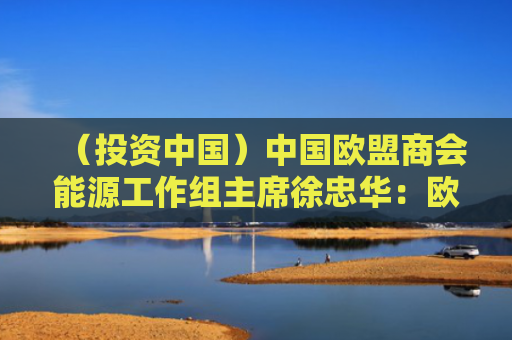 （投资中国）中国欧盟商会能源工作组主席徐忠华：欧中新能源合作会越来越多