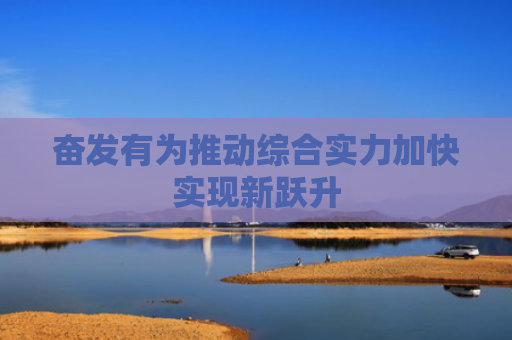 奋发有为推动综合实力加快实现新跃升