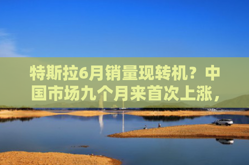 特斯拉6月销量现转机？中国市场九个月来首次上涨，Model Y改款推动部分欧洲市场反弹
