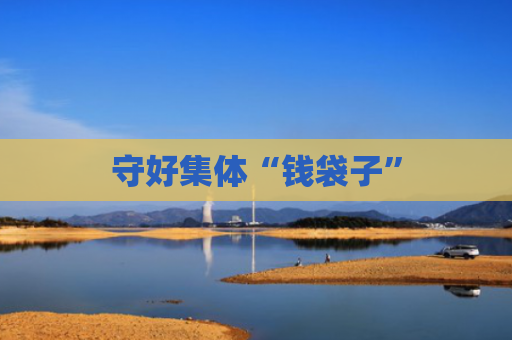 守好集体“钱袋子”