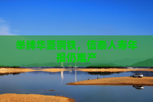 举牌华菱钢铁，信泰人寿年报仍难产