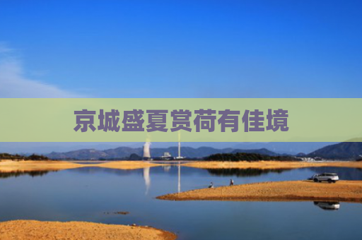 京城盛夏赏荷有佳境