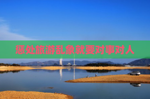 惩处旅游乱象就要对事对人