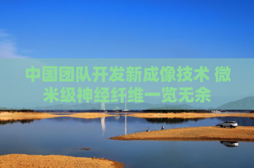 中国团队开发新成像技术 微米级神经纤维一览无余