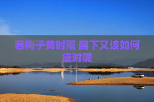 若梅子黄时雨 阁下又该如何应对呢