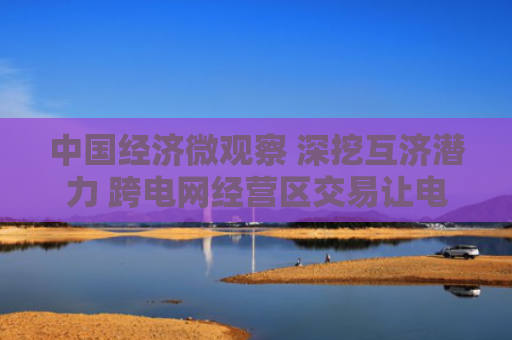 中国经济微观察 深挖互济潜力 跨电网经营区交易让电力市场“血脉”更畅通