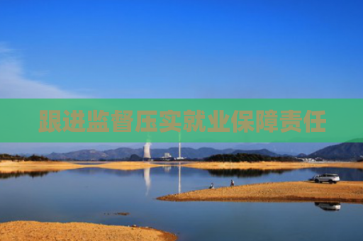 跟进监督压实就业保障责任
