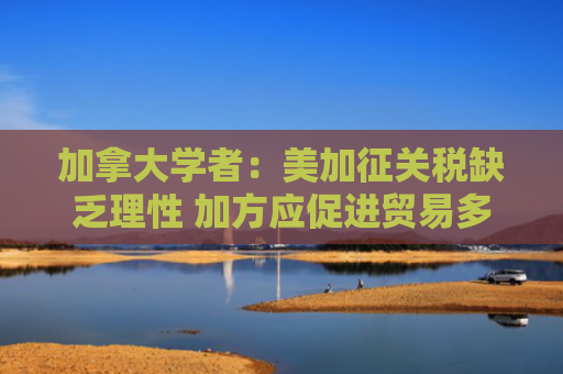 加拿大学者：美加征关税缺乏理性 加方应促进贸易多元化