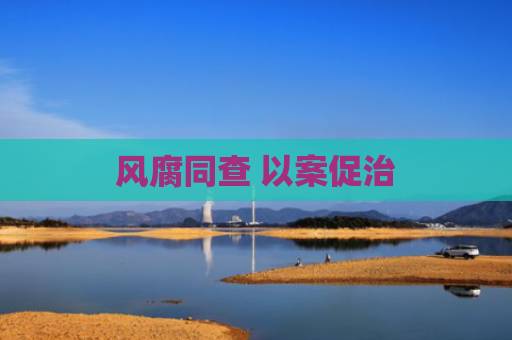 风腐同查 以案促治