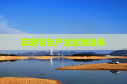疏通特色产业发展堵点