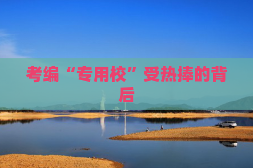 考编“专用校”受热捧的背后