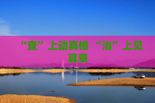 “查”上动真格 “治”上见真章
