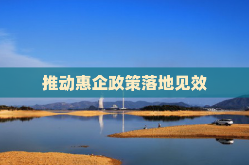 推动惠企政策落地见效